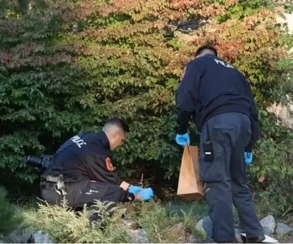 Wide use of Body Camera